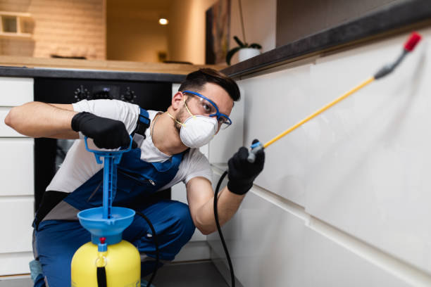 Best Termite Control Services  in Ontario, OH
