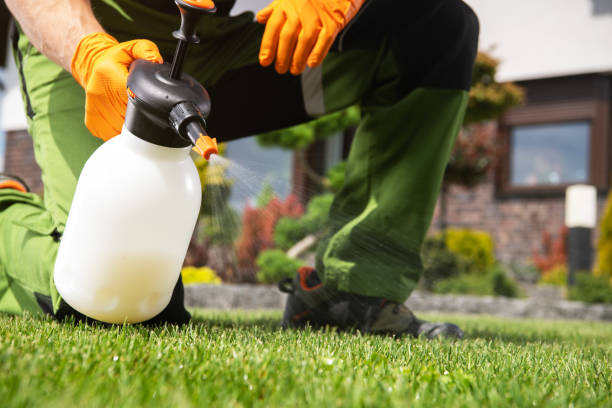 Pest Prevention Services in Ontario, OH