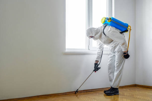 Best Flea Control Services  in Ontario, OH