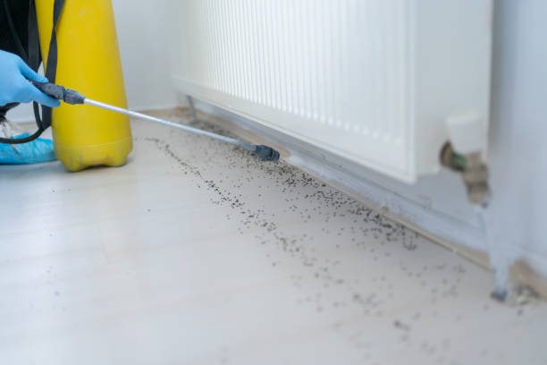 Best Pest Prevention Services  in Ontario, OH
